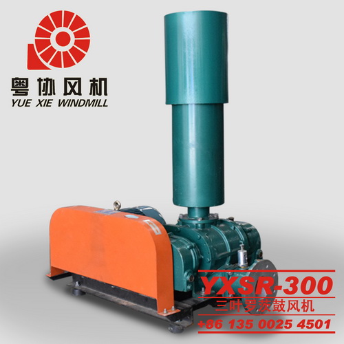 300型羅茨鼓風(fēng)機(jī) 300型羅茨鼓風(fēng)機(jī)